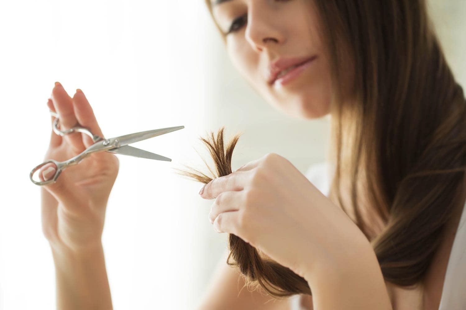 Search & destroy: How to correctly get rid of split ends - The Hair Fuel