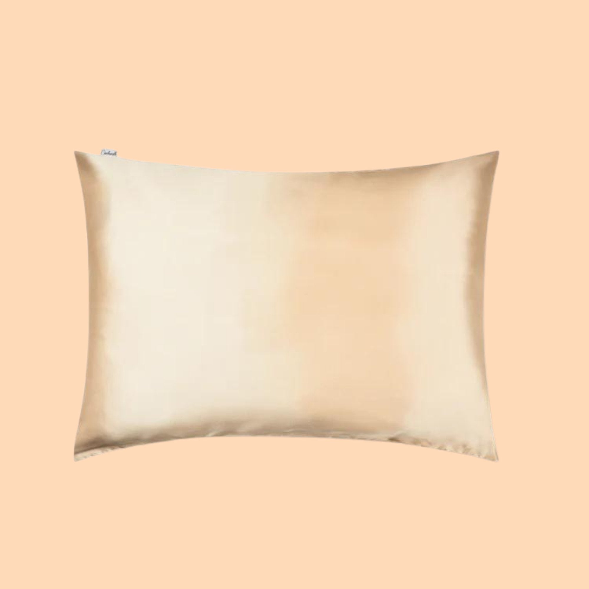 100% Silk Zippered Pillowcase - The Hair Fuel