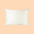 100% Silk Zippered Pillowcase - The Hair Fuel