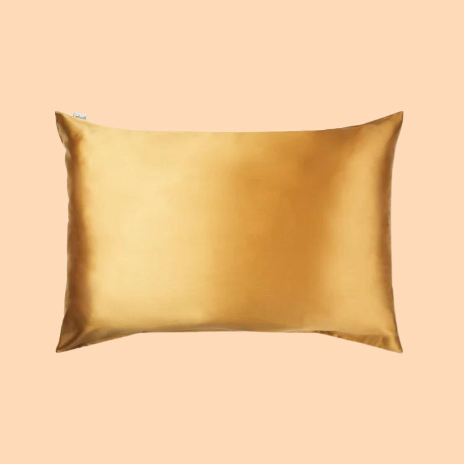 100% Silk Zippered Pillowcase