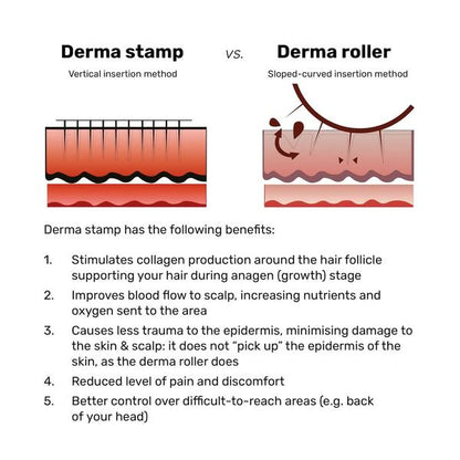 Dermastamp for Hair Regrowth – Microneedling ToolThe Hair Fuel