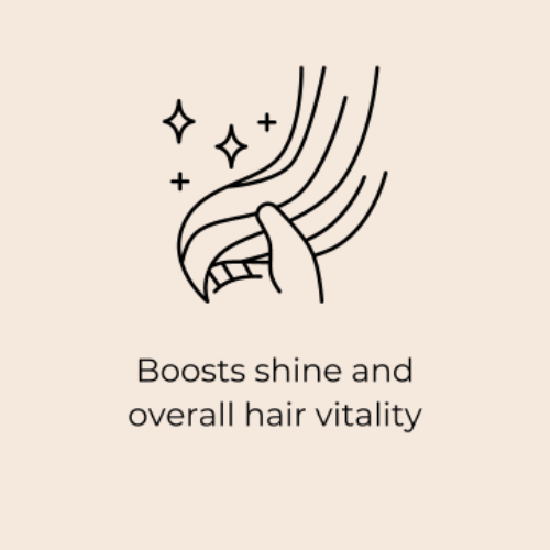 boosts-shine-and-overall-hair-vitality icon