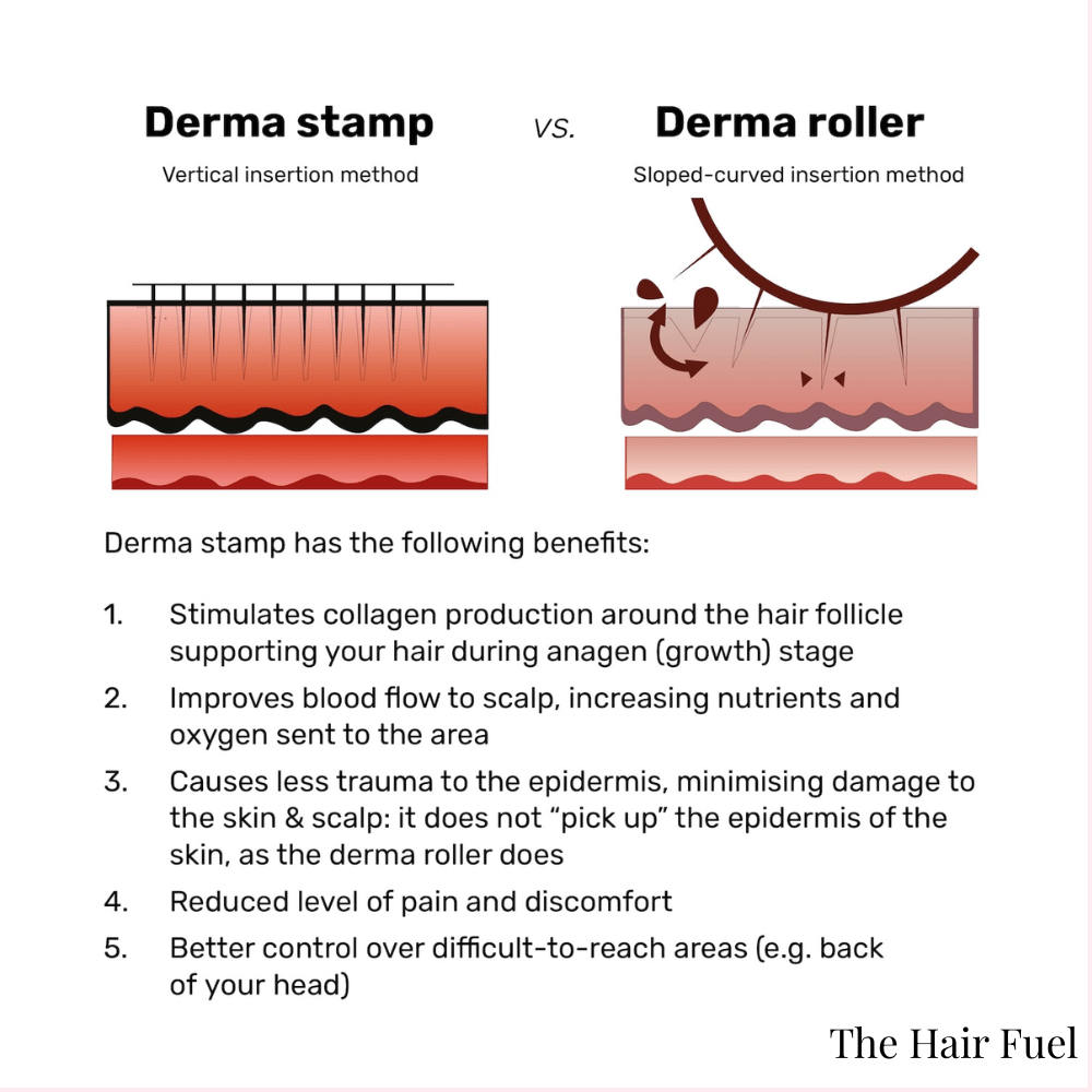 Derma Stamp for Hair Growth &amp; Scalp MicroneedlingThe Hair Fuel
